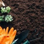 Sådan forbedrer du jorden i havebedet